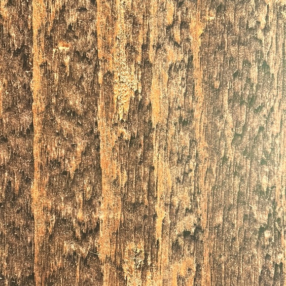 Scrapbook Paper! Wood Texture & Country Theme Backgrounds! 12x12” - Picture 15 of 17